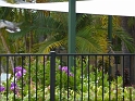 P1010221
