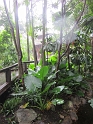 IMG_0289