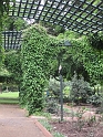 IMG_0305