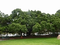 P1010248