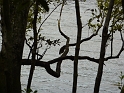 P1010252