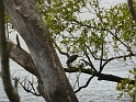 P1010255