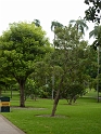 P1010258