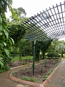 P1010259