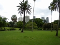 P1010264