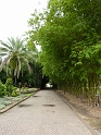 P1010265