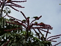 P1010271