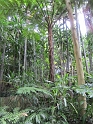 IMG_0315