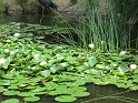 IMG_0318