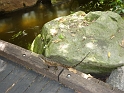P1010296