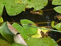 P1010300