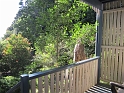 IMG_0334