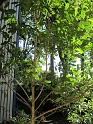 IMG_0335