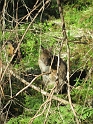 IMG_0337