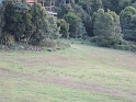 IMG_0363