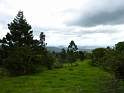 P1010336