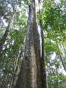 P1010339