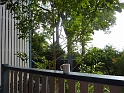 P1010340