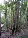 P1010348