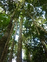 P1010349