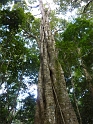 P1010351