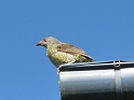 P1010356