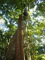 P1010359