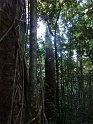 P1010364