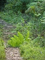 P1010372