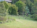 P1010390