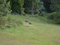 P1010398