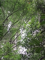 IMG_0388