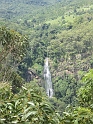 IMG_0390