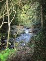 IMG_0400