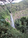 IMG_0405
