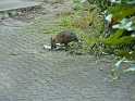 P1010406