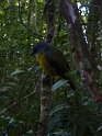 P1010422