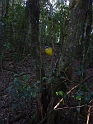 P1010424