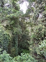 P1010458