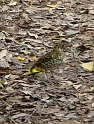P1010476