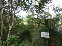 P1010478
