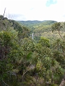 P1010484