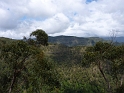 P1010489
