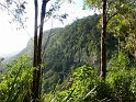 P1010503
