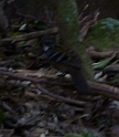 P1010512
