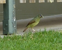 P1010521