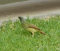 P1010522