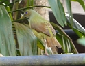 P1010524