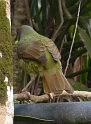 P1010525