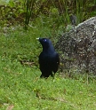 P1010528